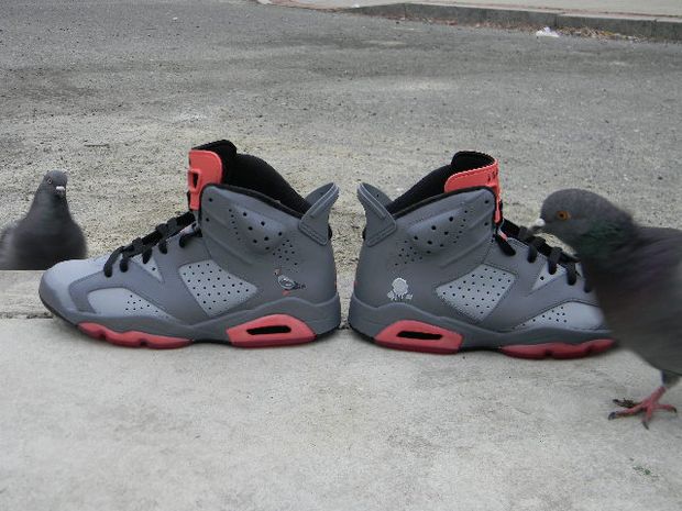 Air jordan outlet pigeon