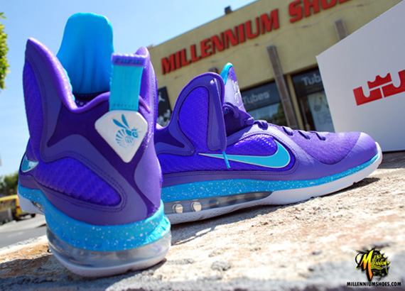 lebron hornets teal and purple