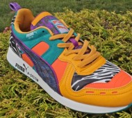 puma-rs-100-animal-2-570x379