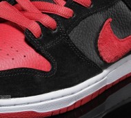 nike-sb-dunk-j-pack-available-10