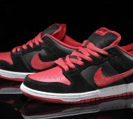 nike-sb-dunk-j-pack-available-12