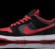 nike-sb-dunk-j-pack-available-13