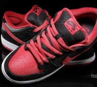 nike-sb-dunk-j-pack-available-8