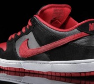 nike-sb-dunk-j-pack-available-9